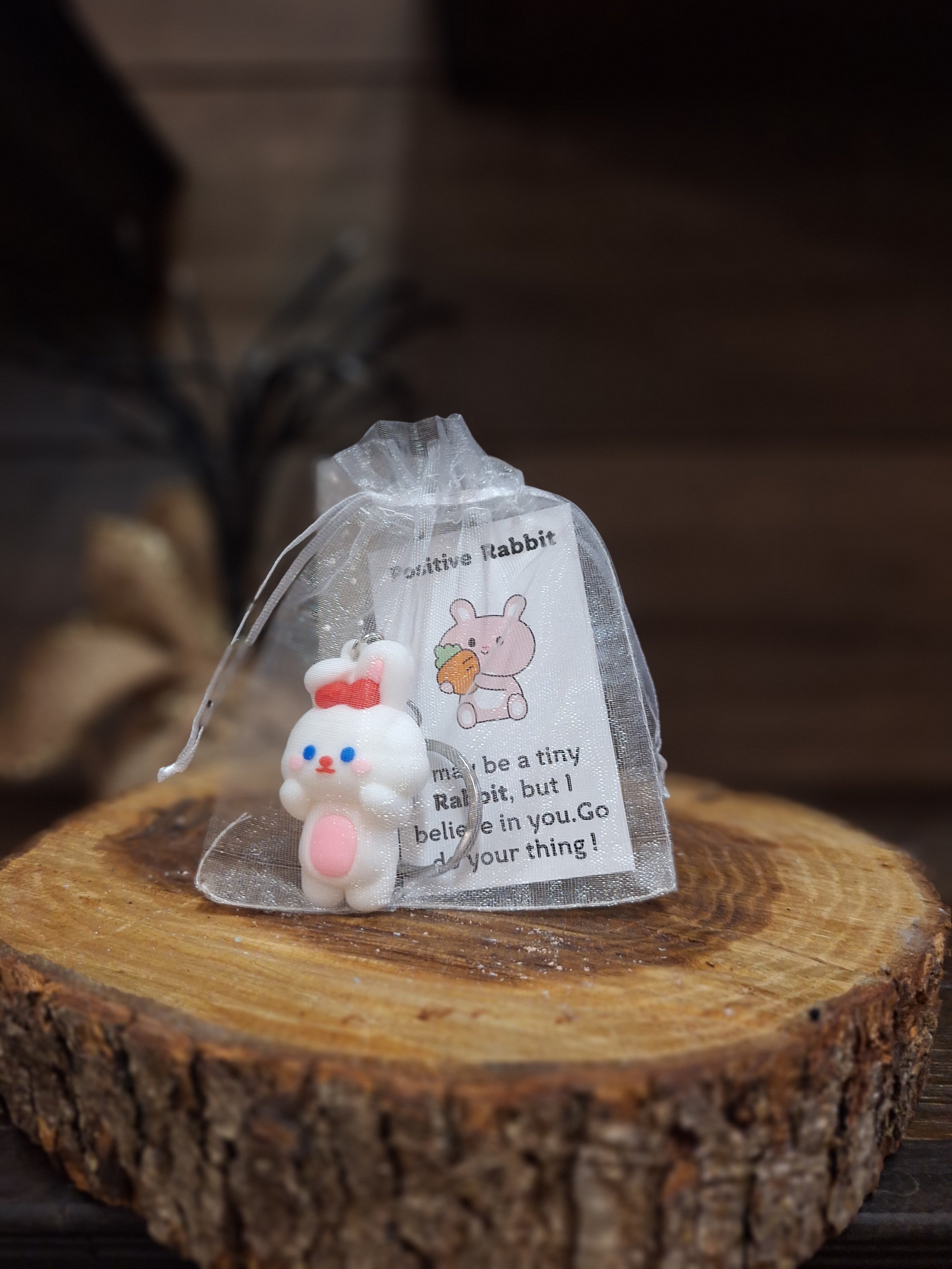 Pocket Emotional Support Animal Keychains