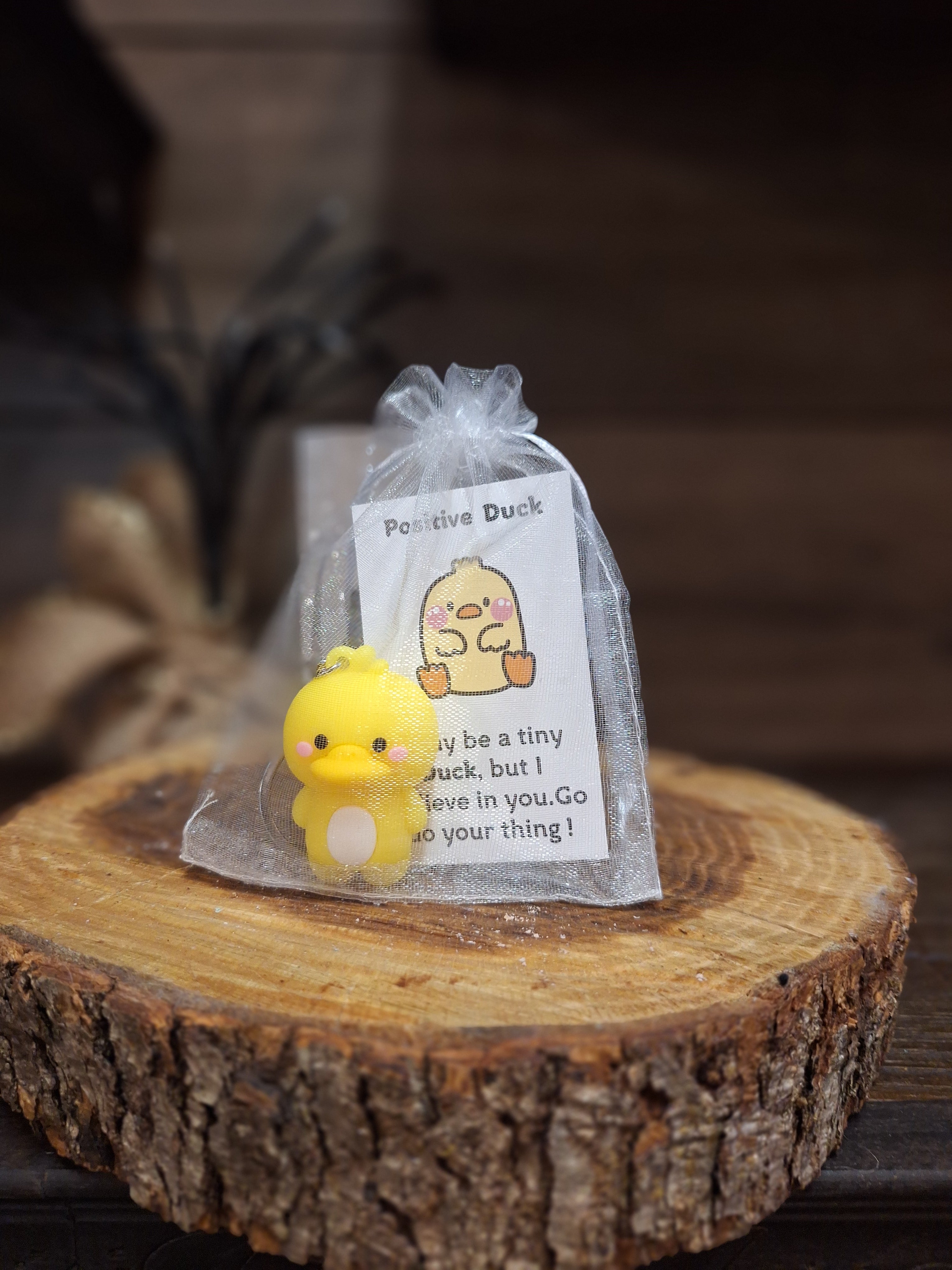 Pocket Emotional Support Animal Keychains